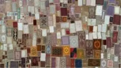 Halı tarlaları sezonu açtı, buğday arazilerinde renk cümbüşü yaşandı Halı tarlaları sezonu açtı, buğday arazilerinde renk cümbüşü yaşandı