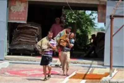 Halı tarlaları sezonu açtı, buğday arazilerinde renk cümbüşü yaşandı Halı tarlaları sezonu açtı, buğday arazilerinde renk cümbüşü yaşandı