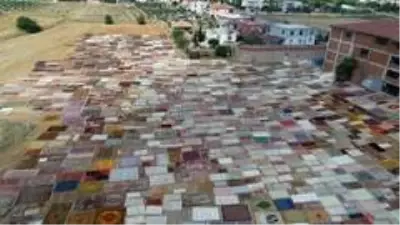 Halı tarlaları sezonu açtı, buğday arazilerinde renk cümbüşü yaşandı Halı tarlaları sezonu açtı, buğday arazilerinde renk cümbüşü yaşandı