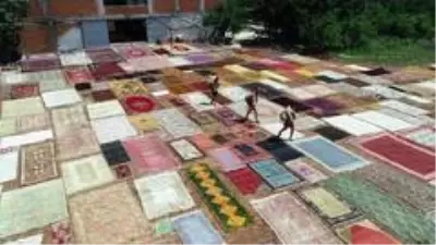 Halı tarlaları sezonu açtı, buğday arazilerinde renk cümbüşü yaşandı Halı tarlaları sezonu açtı, buğday arazilerinde renk cümbüşü yaşandı