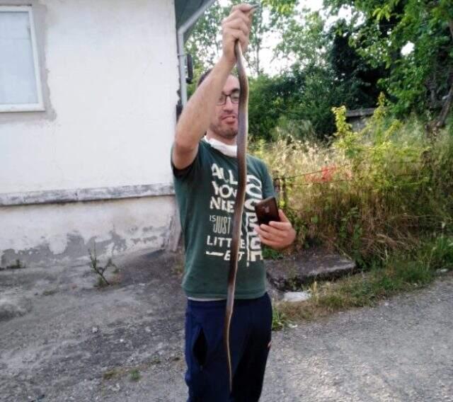 İtfaiye eri, kümesine giren 1,5 metrelik yılanı elleriyle yakaladı İtfaiye eri, kümesine giren 1,5 metrelik yılanı elleriyle yakaladı