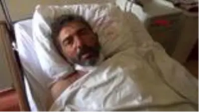 Kırşehir'de hayvan otlatma kavgası: 2 yaralı