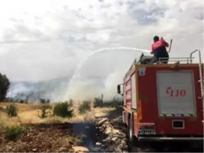 Mardin'de ormanlık alanda yangın
