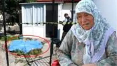 Oğlunun cansız bedeniyle karşılaşan anne, Oğlunun cansız bedeniyle karşılaşan anne,