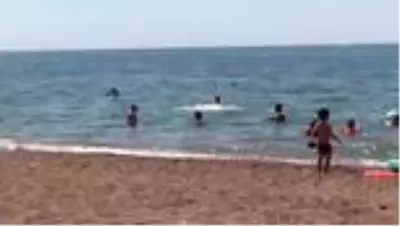 'Sosyal mesafeli' deniz keyfi sürüyor 'Sosyal mesafeli' deniz keyfi sürüyor