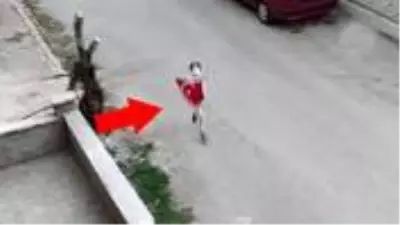 9 yaşındaki çocuğun bayrak hassasiyeti kameralara yansıdı 9 yaşındaki çocuğun bayrak hassasiyeti kameralara yansıdı