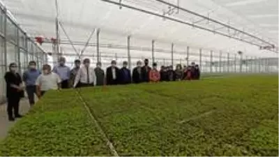 Afyonkarahisar'a kurulacak olan Tıbbi Aromatik Bitkiler Bahçesi ve Üretim Merkezi için Çorum'da... Afyonkarahisar'a kurulacak olan Tıbbi Aromatik Bitkiler Bahçesi ve Üretim Merkezi için Çorum'da...
