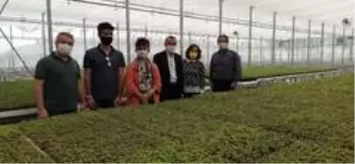 Afyonkarahisar'a kurulacak olan Tıbbi Aromatik Bitkiler Bahçesi ve Üretim Merkezi için Çorum'da... Afyonkarahisar'a kurulacak olan Tıbbi Aromatik Bitkiler Bahçesi ve Üretim Merkezi için Çorum'da...