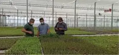 Afyonkarahisar'a kurulacak olan Tıbbi Aromatik Bitkiler Bahçesi ve Üretim Merkezi için Çorum'da... Afyonkarahisar'a kurulacak olan Tıbbi Aromatik Bitkiler Bahçesi ve Üretim Merkezi için Çorum'da...