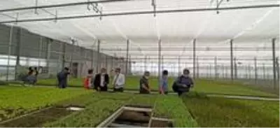 Afyonkarahisar'a kurulacak olan Tıbbi Aromatik Bitkiler Bahçesi ve Üretim Merkezi için Çorum'da... Afyonkarahisar'a kurulacak olan Tıbbi Aromatik Bitkiler Bahçesi ve Üretim Merkezi için Çorum'da...