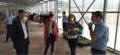 Afyonkarahisar'a kurulacak olan Tıbbi Aromatik Bitkiler Bahçesi ve Üretim Merkezi için Çorum'da... Afyonkarahisar'a kurulacak olan Tıbbi Aromatik Bitkiler Bahçesi ve Üretim Merkezi için Çorum'da...