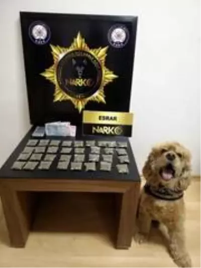 Balıkesir'de 136 gram toz esrar ele geçirildi