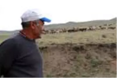 Çorum’da aslan bulunamadı ama köylülerin paniği devam ediyor