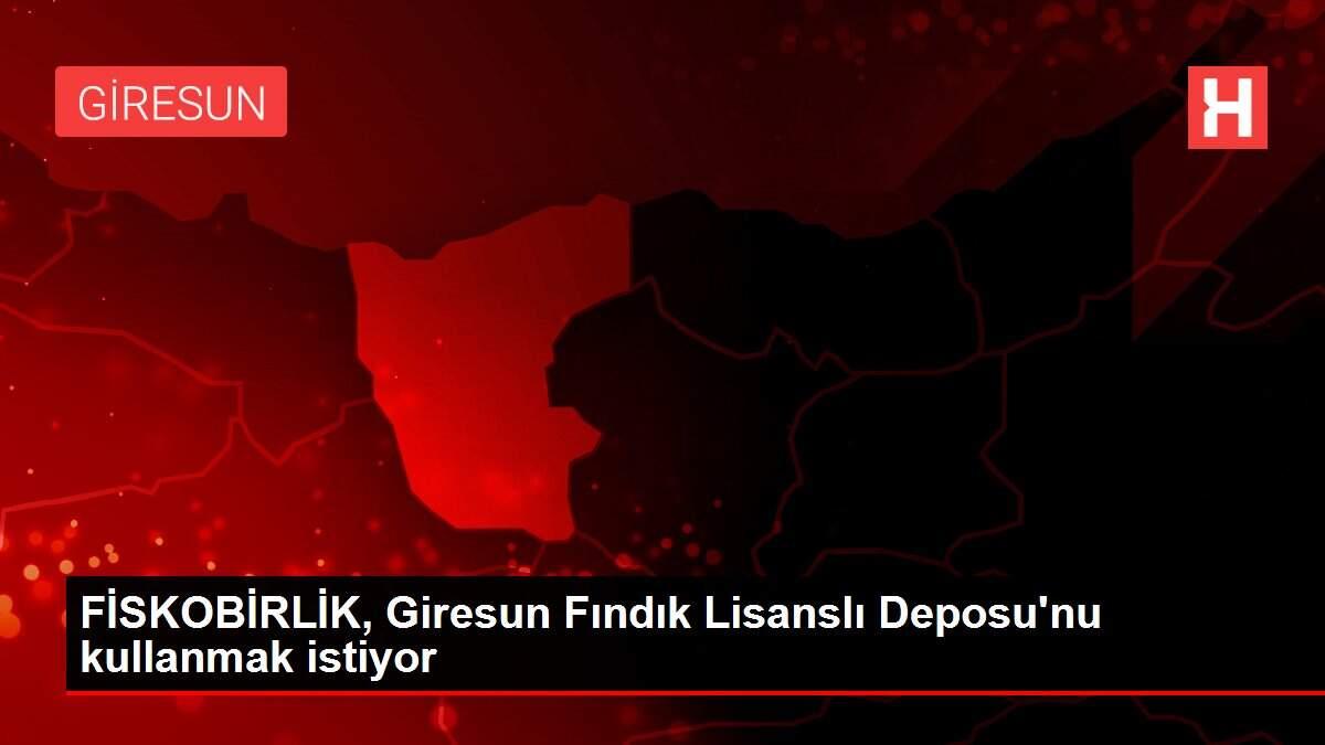 FİSKOBİRLİK, Giresun Fındık Lisanslı Deposu'nu kullanmak istiyor FİSKOBİRLİK, Giresun Fındık Lisanslı Deposu'nu kullanmak istiyor