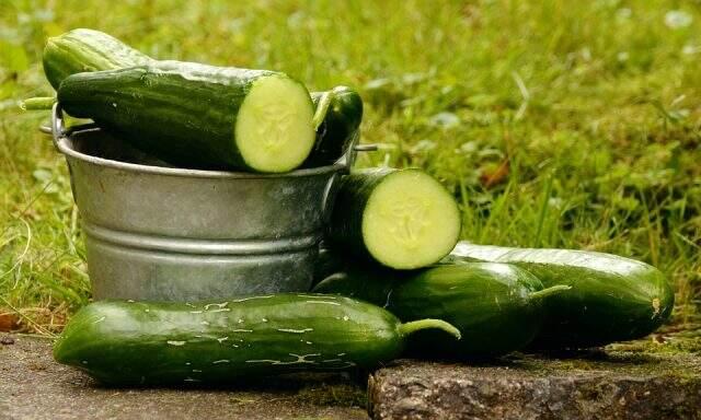 Salatalık diyeti nasıl yapılır? 3 günde 1 kilo verdiren salatalık diyeti! Salatalık diyeti nasıl yapılır? 3 günde 1 kilo verdiren salatalık diyeti!