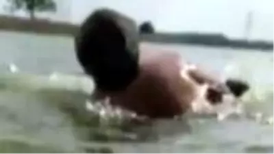 Serinlemek için girdiği gölde timsaha yem oluyordu Serinlemek için girdiği gölde timsaha yem oluyordu