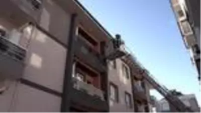 Tıp öğrencisinin suni teneffüs ve kalp masajı yaptığı kedi kurtarılamadı Tıp öğrencisinin suni teneffüs ve kalp masajı yaptığı kedi kurtarılamadı