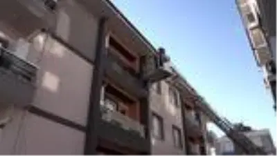 Tıp öğrencisinin suni teneffüs ve kalp masajı yaptığı kedi kurtarılamadı Tıp öğrencisinin suni teneffüs ve kalp masajı yaptığı kedi kurtarılamadı