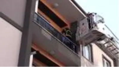 Tıp öğrencisinin suni teneffüs ve kalp masajı yaptığı kedi kurtarılamadı Tıp öğrencisinin suni teneffüs ve kalp masajı yaptığı kedi kurtarılamadı
