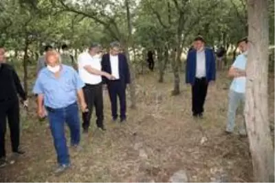 Yunanların 99 yıl önce katlettiği 83 Türk'ün mezar yerleri bulundu