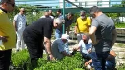 Son dakika haberleri | Adıyaman'da şeker otu tütüne alternatif olacak