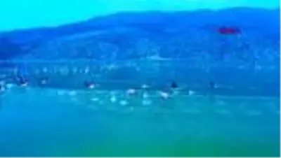 AFYON Acıgöl'deki flamingolar görsel şölen oluşturdu AFYON Acıgöl'deki flamingolar görsel şölen oluşturdu