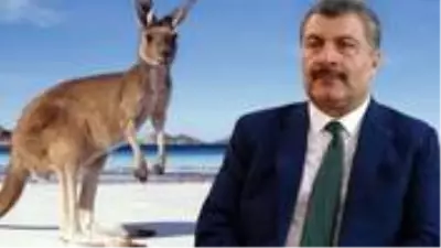 Avustralya'nın Ankara Büyükelçisi'nden Bakan Koca'ya kangurulu sosyal mesafe hatırlatması Avustralya'nın Ankara Büyükelçisi'nden Bakan Koca'ya kangurulu sosyal mesafe hatırlatması