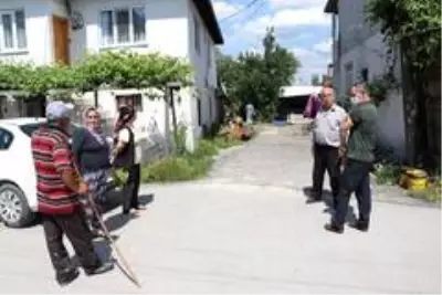 Bolu'da, girdikleri odunlukta doğum yapan tilkiler tavuk ve kedileri öldürdü Bolu'da, girdikleri odunlukta doğum yapan tilkiler tavuk ve kedileri öldürdü