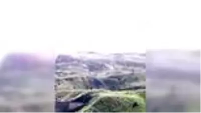 Ele geçirilen patlayıcılar imha edildi Ele geçirilen patlayıcılar imha edildi