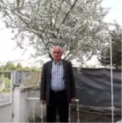 Erik topladığı ağaçtan düşerek öldü Erik topladığı ağaçtan düşerek öldü