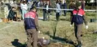 Örenşehir: Film gibi hikaye! Jandarma, kırık bir cam parçasından 18 yıllık cinayeti çözdü Örenşehir: Film gibi hikaye! Jandarma, kırık bir cam parçasından 18 yıllık cinayeti çözdü