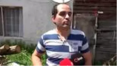 Son Dakika: Girdikleri odunlukta doğum yapan tilkiler tavuk ve kedileri öldürdü Son Dakika: Girdikleri odunlukta doğum yapan tilkiler tavuk ve kedileri öldürdü