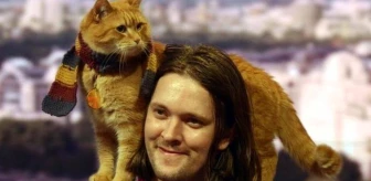 Hayatı kitaplara ve filme konu olan 'sokak kedisi Bob' 14 yaşında öldü