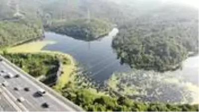 İstanbul'a su sağlayan barajın üzeri yeşil tabakayla kaplandı İstanbul'a su sağlayan barajın üzeri yeşil tabakayla kaplandı