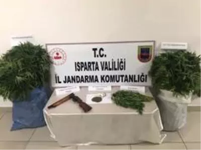 Jandarma'dan uyuşturucu operasyonu Jandarma'dan uyuşturucu operasyonu