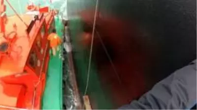 Kılavuz kaptanlarının dev dalgalarla mücadelesi Kılavuz kaptanlarının dev dalgalarla mücadelesi