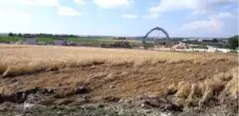 Pınarhisar: Son dakika haber... Kırklareli'de dolunun vurduğu tarlalarda inceleme yapıldı Pınarhisar: Son dakika haber... Kırklareli'de dolunun vurduğu tarlalarda inceleme yapıldı