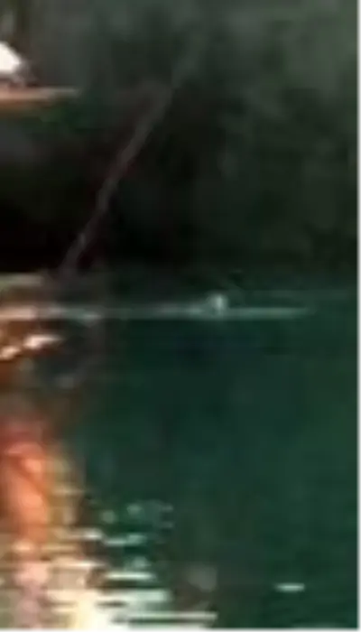 Manavgat Irmağı'nda sürüklenen kadın, suya atlayan bir genç tarafından kurtarıldı Manavgat Irmağı'nda sürüklenen kadın, suya atlayan bir genç tarafından kurtarıldı