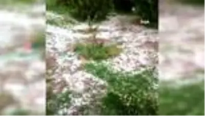 Oltu'ya dolu yağışı nedeniyle trafik kapandı, esnaf zor anlar yaşadı Oltu'ya dolu yağışı nedeniyle trafik kapandı, esnaf zor anlar yaşadı