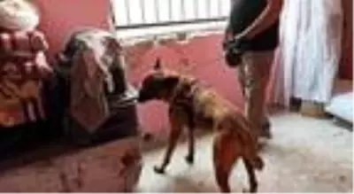 Osmaniye'de hava destekli 'torbacı' operasyonu: 30 gözaltı Osmaniye'de hava destekli 'torbacı' operasyonu: 30 gözaltı