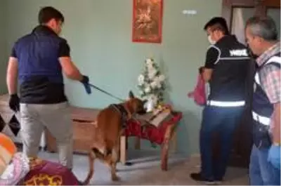 Osmaniye'de Kızıl Elma 80 uyuşturucu operasyonu Osmaniye'de Kızıl Elma 80 uyuşturucu operasyonu