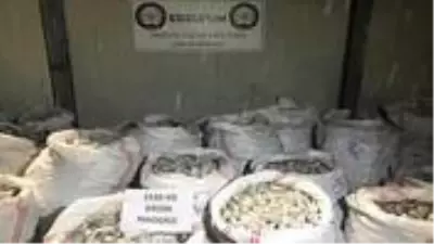 Türkiye'de tek seferde ele geçirilen en büyük uyuşturucunun davasında sanıklar birbirine girdi Türkiye'de tek seferde ele geçirilen en büyük uyuşturucunun davasında sanıklar birbirine girdi