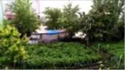 Dolu yağışı Bursa'nın dağ yöresini perişan etti Dolu yağışı Bursa'nın dağ yöresini perişan etti