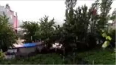 Dolu yağışı Bursa'nın dağ yöresini perişan etti Dolu yağışı Bursa'nın dağ yöresini perişan etti