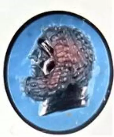Herakles büstünün yer aldığı yüzük taşı, çamurundan arındı Herakles büstünün yer aldığı yüzük taşı, çamurundan arındı