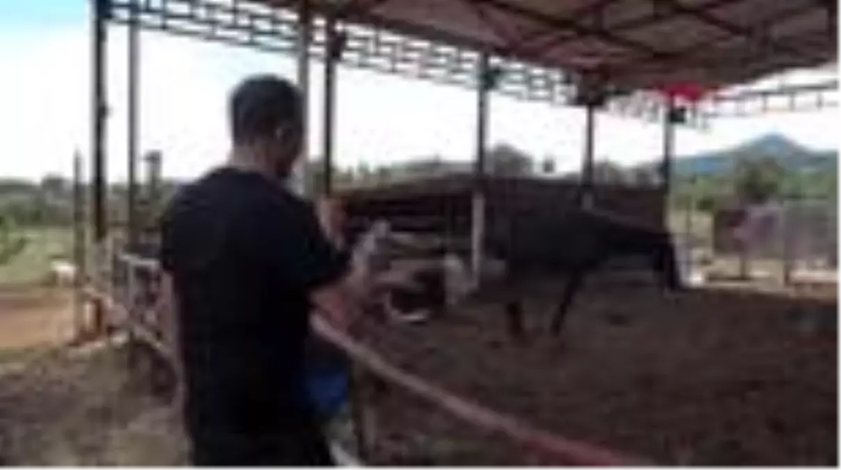 İZMİR Haluk Levent, Ferdinand ve Duygu'yu ziyaret etti