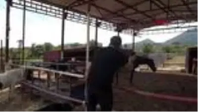 İZMİR Haluk Levent, Ferdinand ve Duygu'yu ziyaret etti