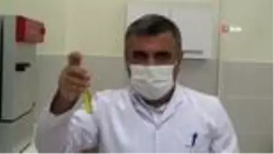 Son dakika haberleri | Kilis zeytin yağında Türkiye ve Avrupa'da ilk kez Omega-7 yağ asidi bulundu Son dakika haberleri | Kilis zeytin yağında Türkiye ve Avrupa'da ilk kez Omega-7 yağ asidi bulundu