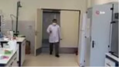 Son dakika haberleri | Kilis zeytin yağında Türkiye ve Avrupa'da ilk kez Omega-7 yağ asidi bulundu Son dakika haberleri | Kilis zeytin yağında Türkiye ve Avrupa'da ilk kez Omega-7 yağ asidi bulundu