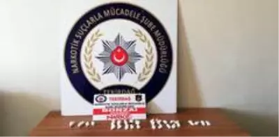 Tekirdağ'da uyuşturucu operasyonu: 8 gözaltı